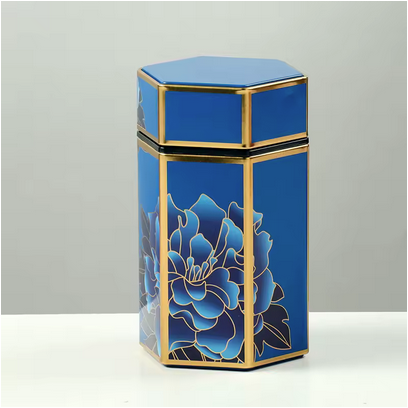 Boîte à thé Hermétique variante bleu