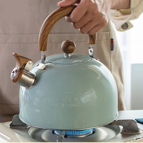 Bouilloire Vintage Retro Inox femme tient la bouiloire sur une cuisinière au gaz