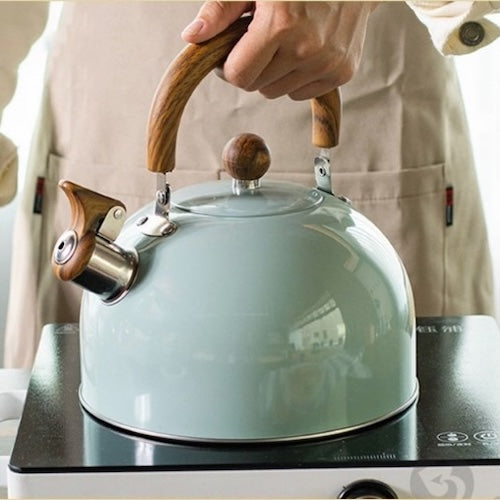 Bouilloire Vintage Retro Inox femme tient la bouilloire sur une plaque à induction
