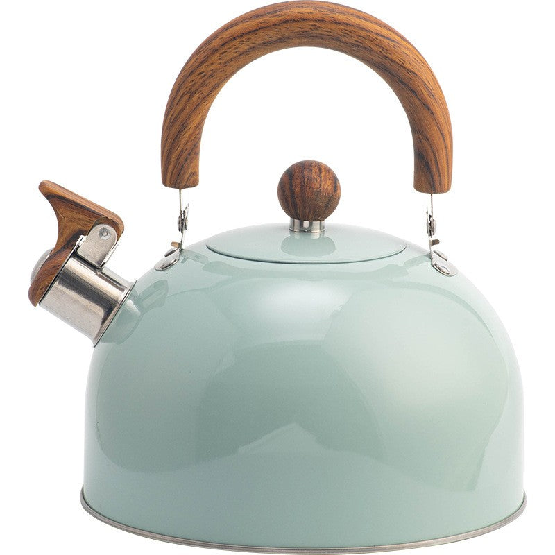 Bouilloire Vintage Retro Inox variante verte