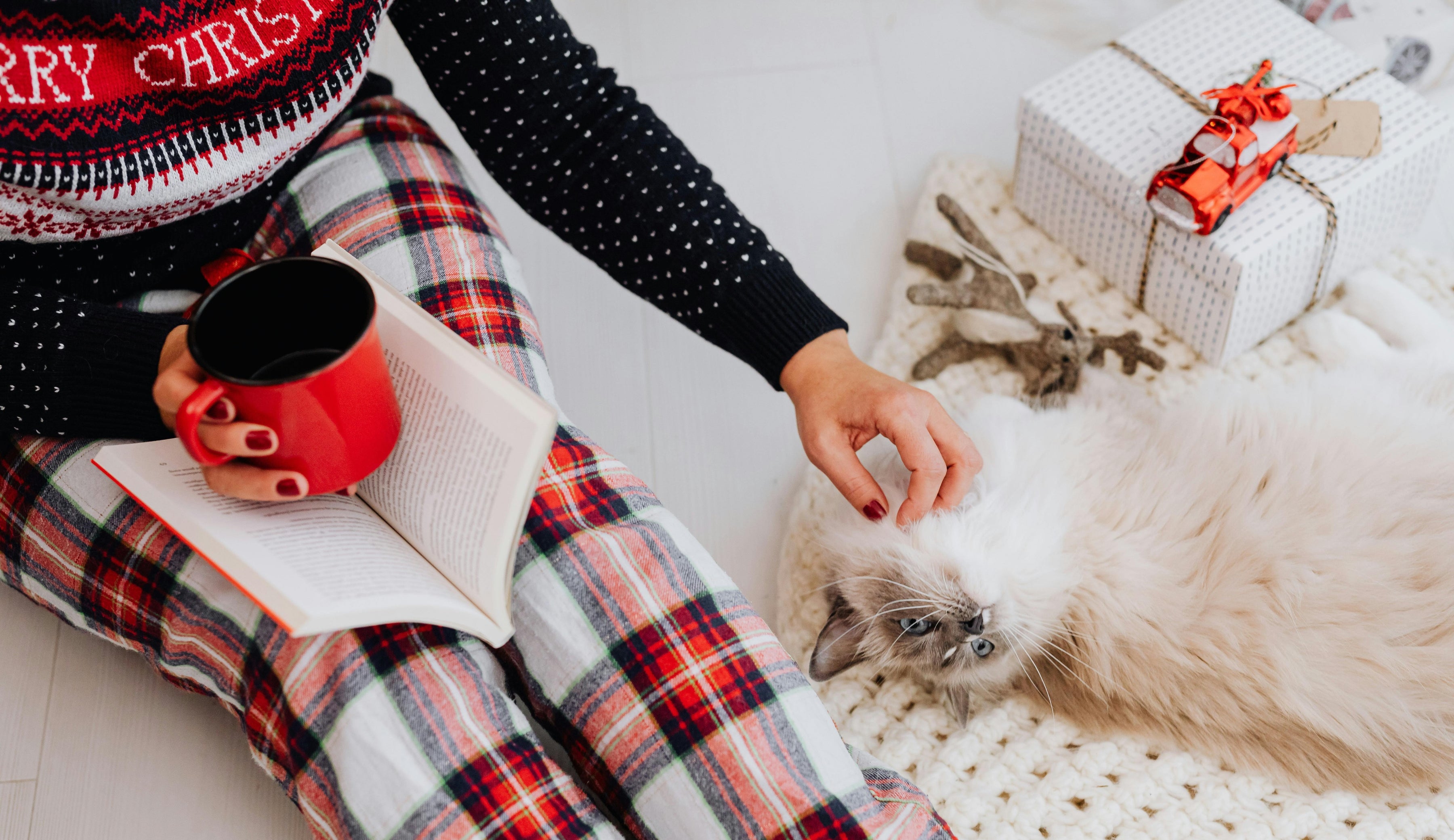 Femme habits Noël intérieur tasse rouge chat blanc cadeau